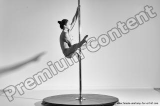 poledance reference 04 21